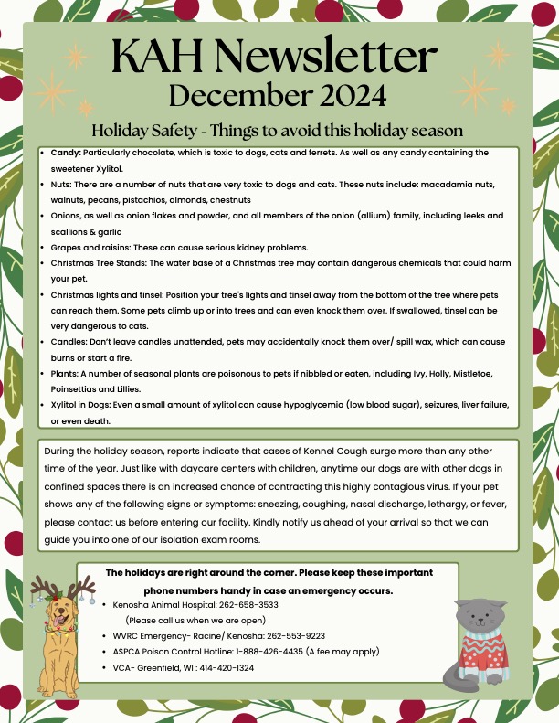 December 2024 Newsletter 